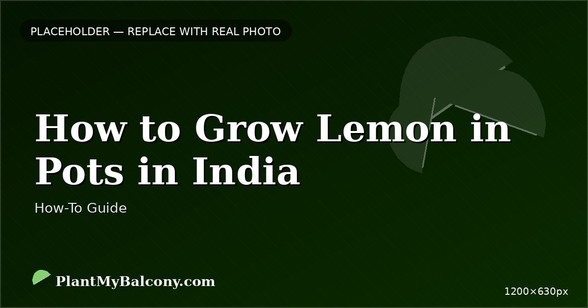 How to Grow Lemon in Pots in India — Complete Guide