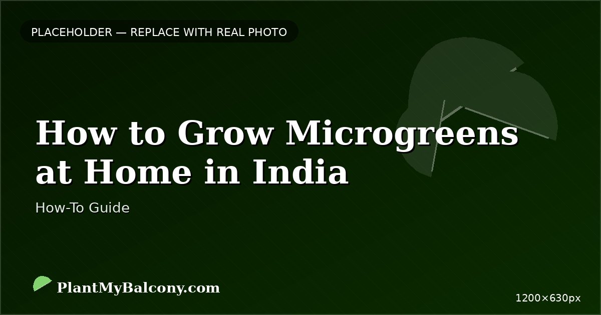 How to Grow Microgreens at Home in India â Complete Guide