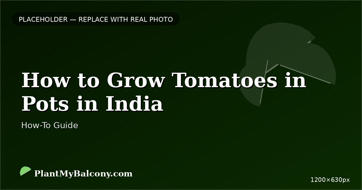 How to Grow Tomatoes in Pots in India — Complete Guide
