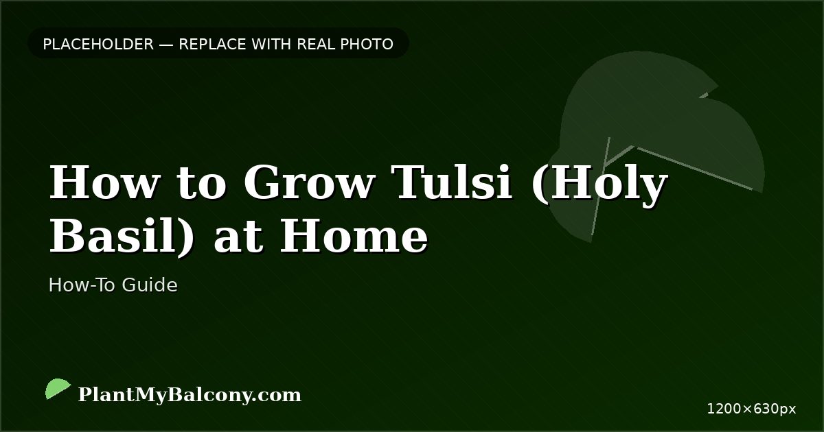How to Grow Tulsi (Holy Basil) at Home â Complete Indian Guide
