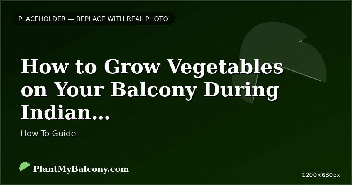 How to Grow Vegetables on Your Balcony During Indian Monsoon