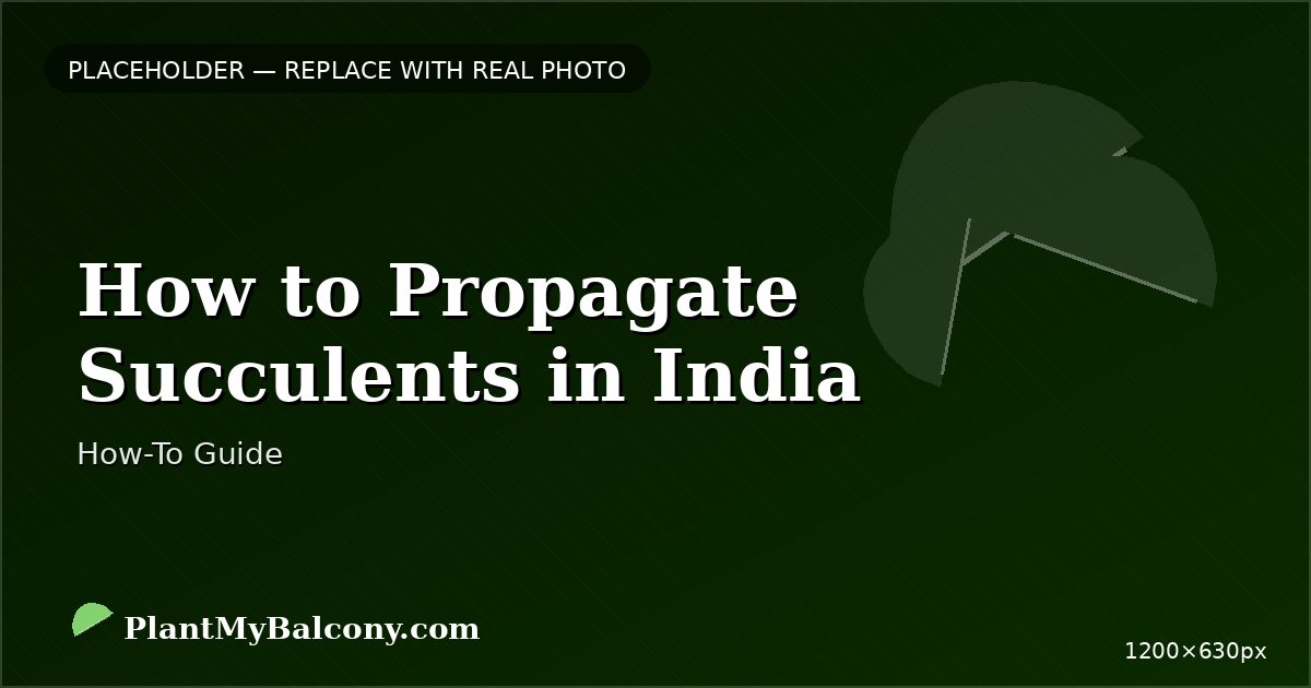 How to Propagate Succulents in India â Complete Guide
