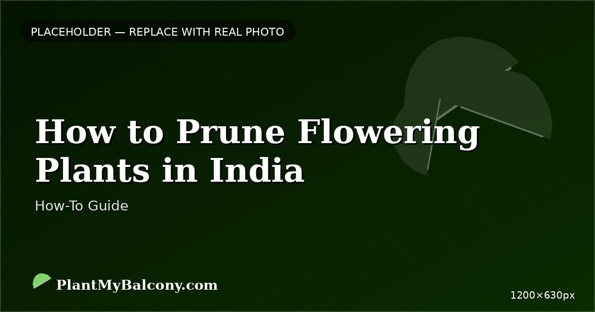 How to Prune Flowering Plants in India â Complete Seasonal Guide