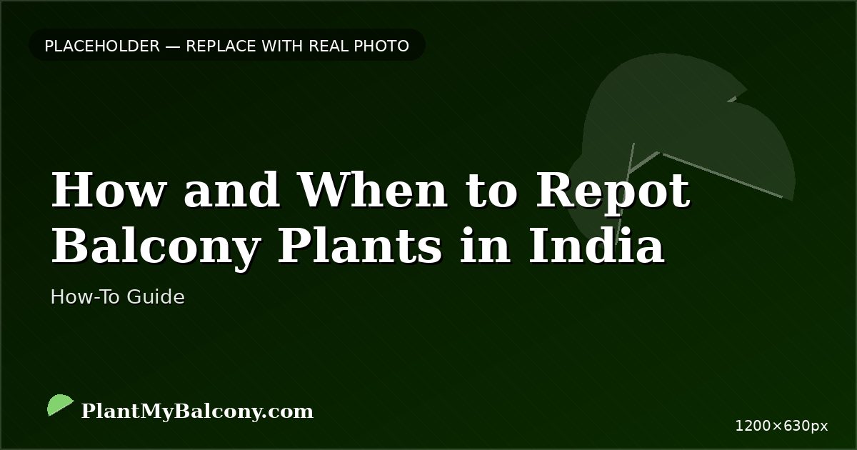 How and When to Repot Balcony Plants in India â Complete Guide