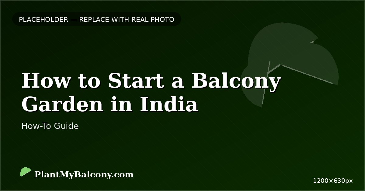How to Start a Balcony Garden in India — Complete Beginners Guide