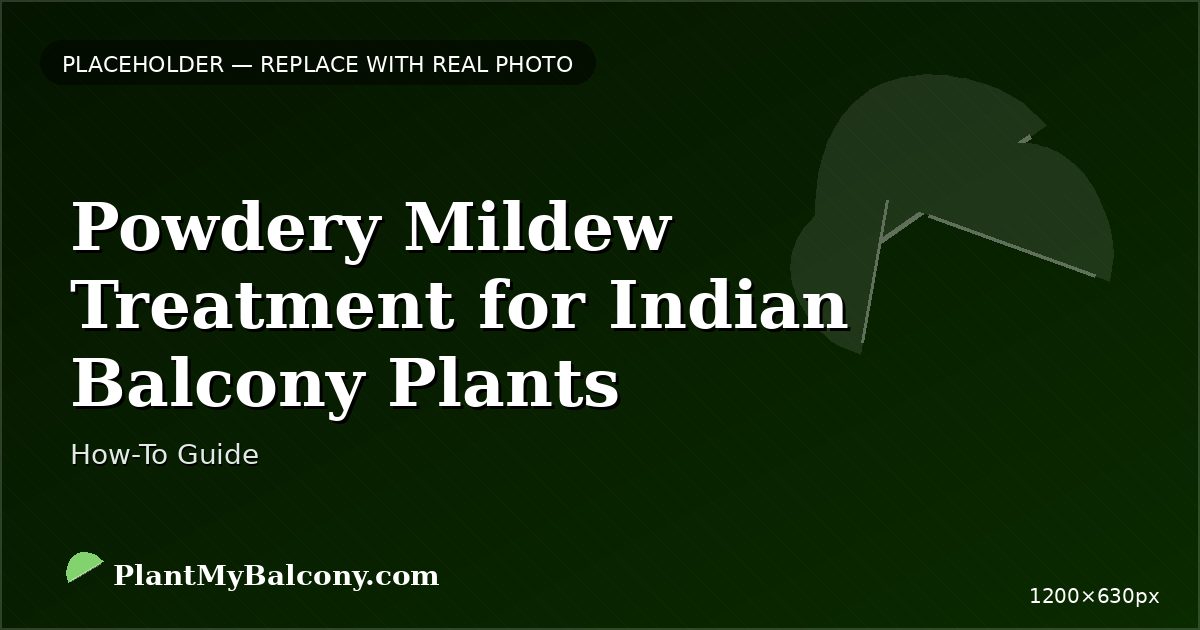 Powdery Mildew Treatment for Indian Balcony Plants