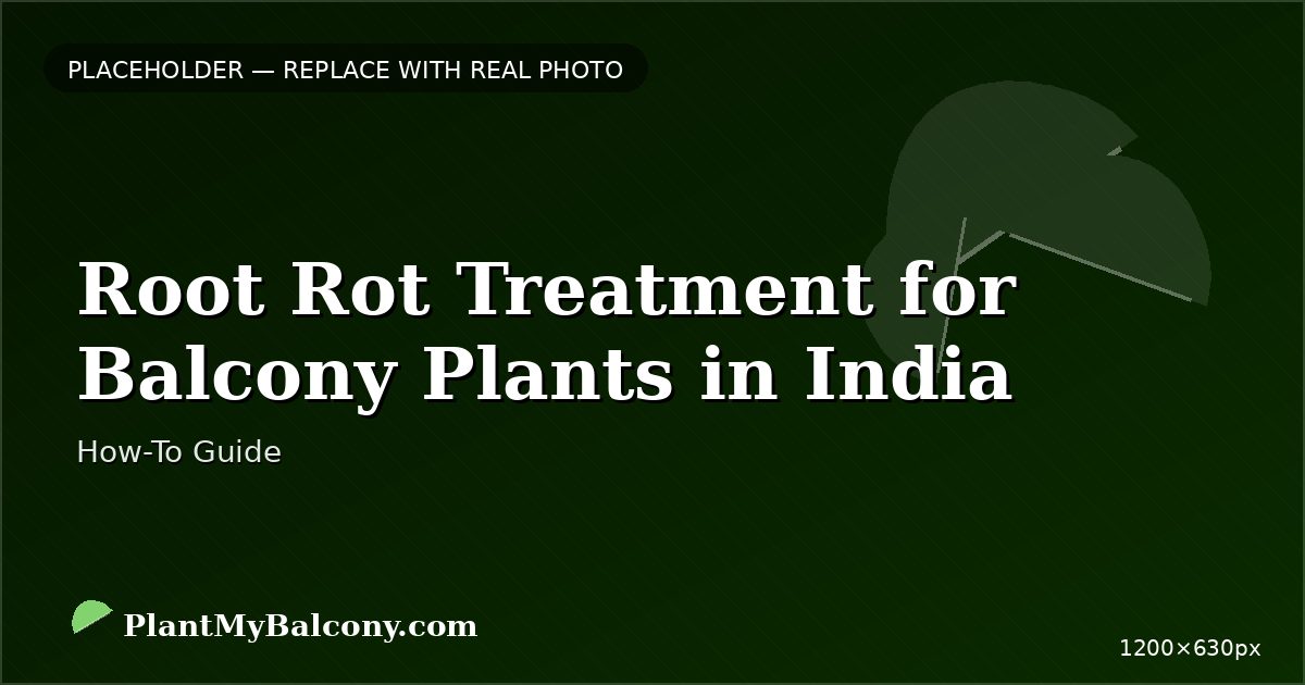 Root Rot Treatment for Balcony Plants in India — Complete Guide