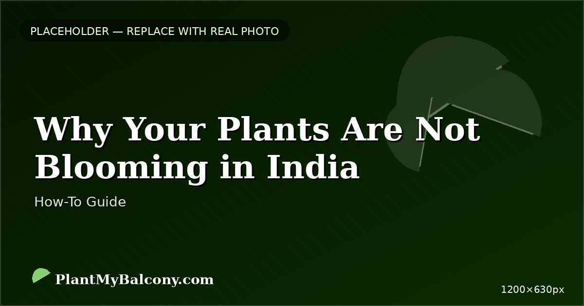 Why Your Plants Are Not Blooming in India â 7 Causes and Solutions