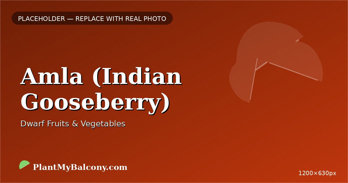 Amla (Indian Gooseberry)
