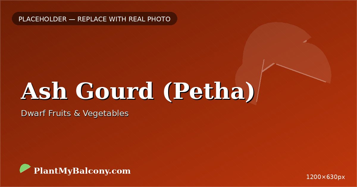 Ash Gourd (Petha)