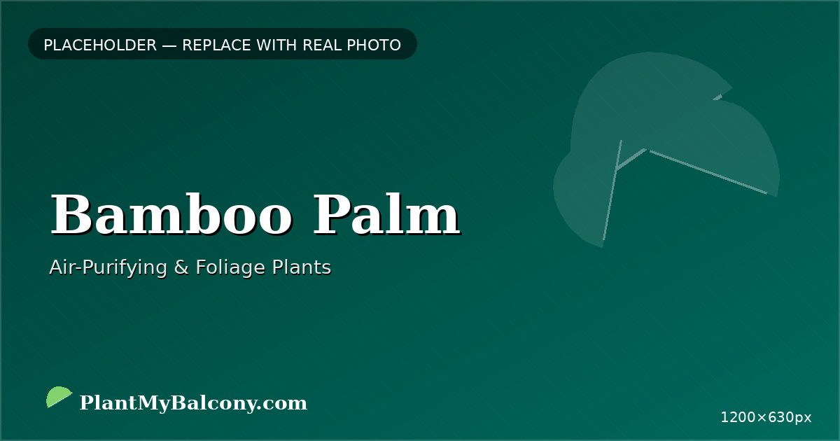 Bamboo Palm