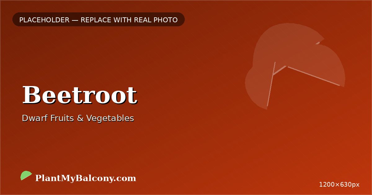 Beetroot