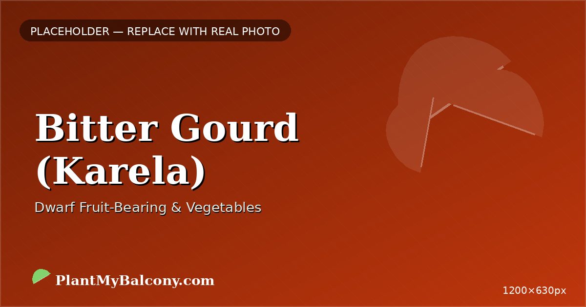 Bitter Gourd (Karela) plant