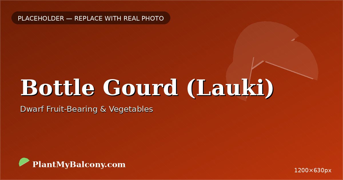 Bottle Gourd (Lauki) plant