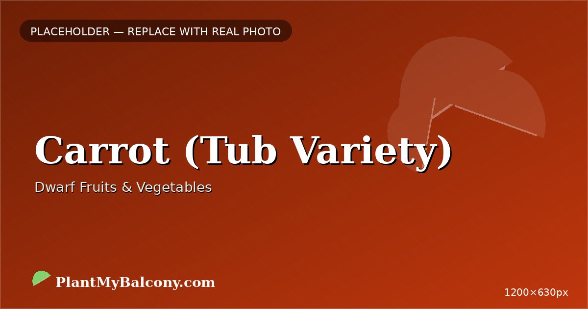 Carrot (Tub Variety)