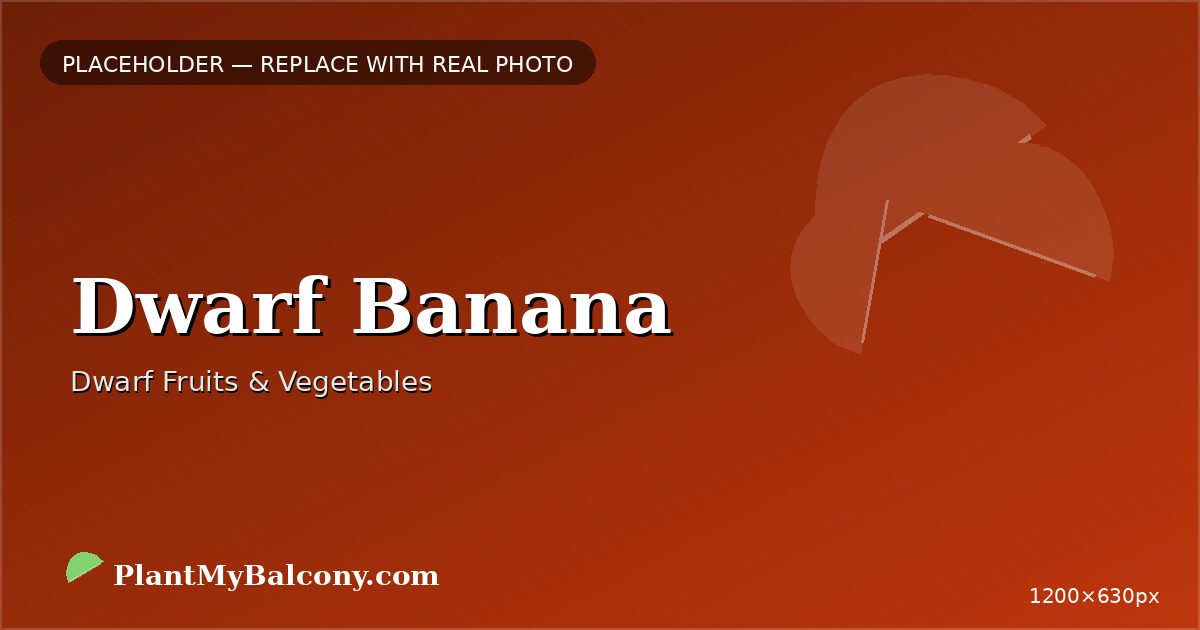 Dwarf Banana plant India
