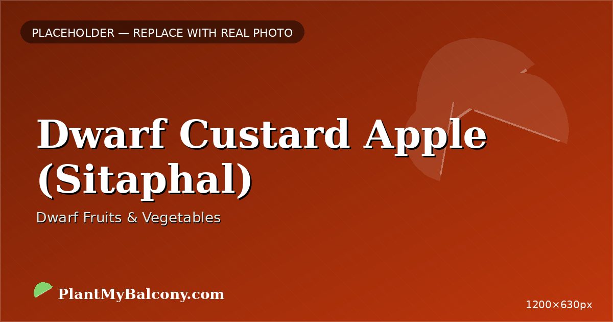 Dwarf Custard Apple (Sitaphal)