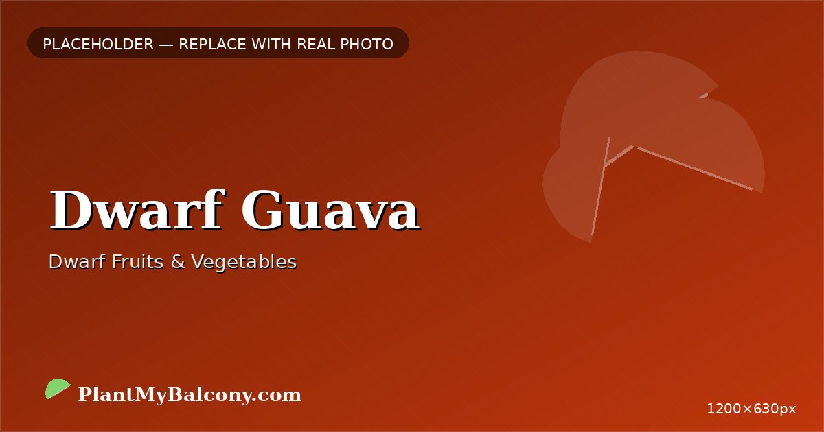 Dwarf Guava