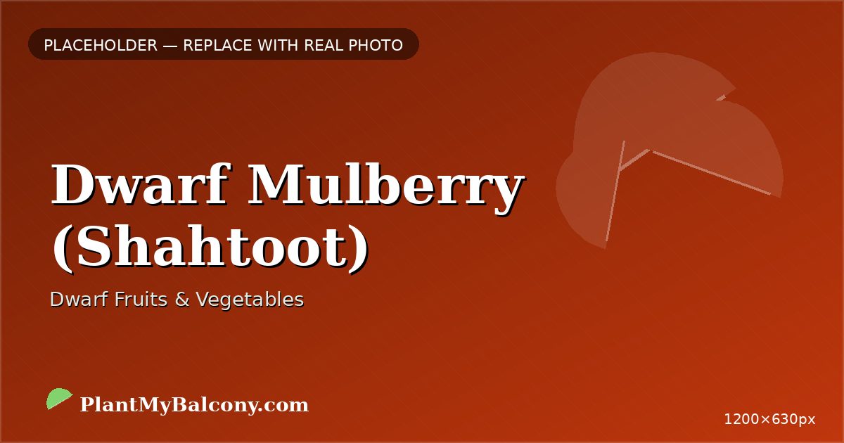 Dwarf Mulberry (Shahtoot)