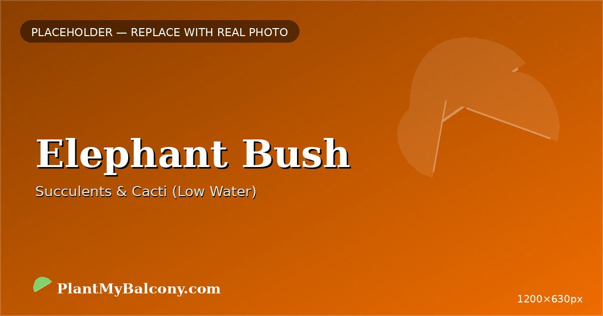 Elephant Bush plant India