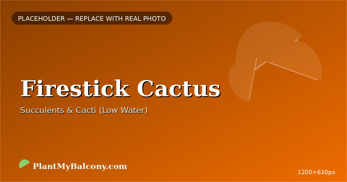 Firestick Cactus plant India