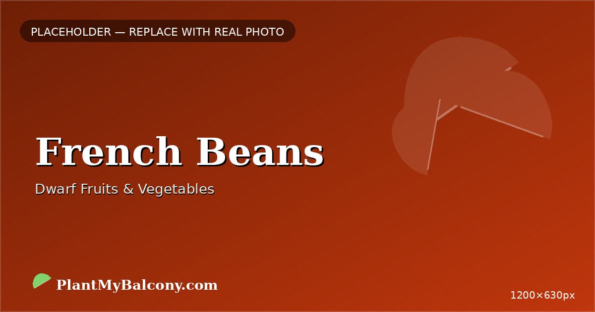 French Beans plant India