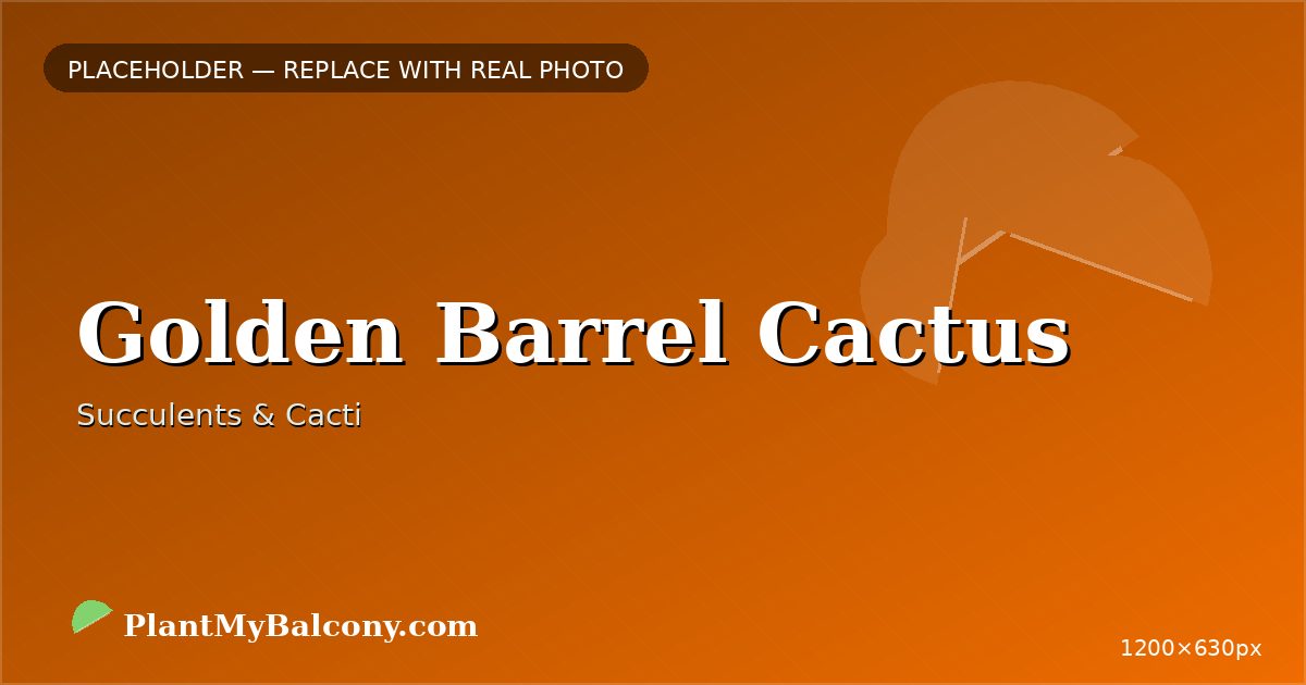 Golden Barrel Cactus