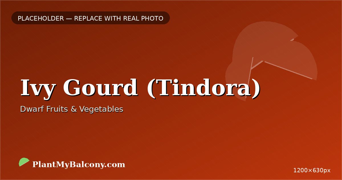 Ivy Gourd (Tindora)