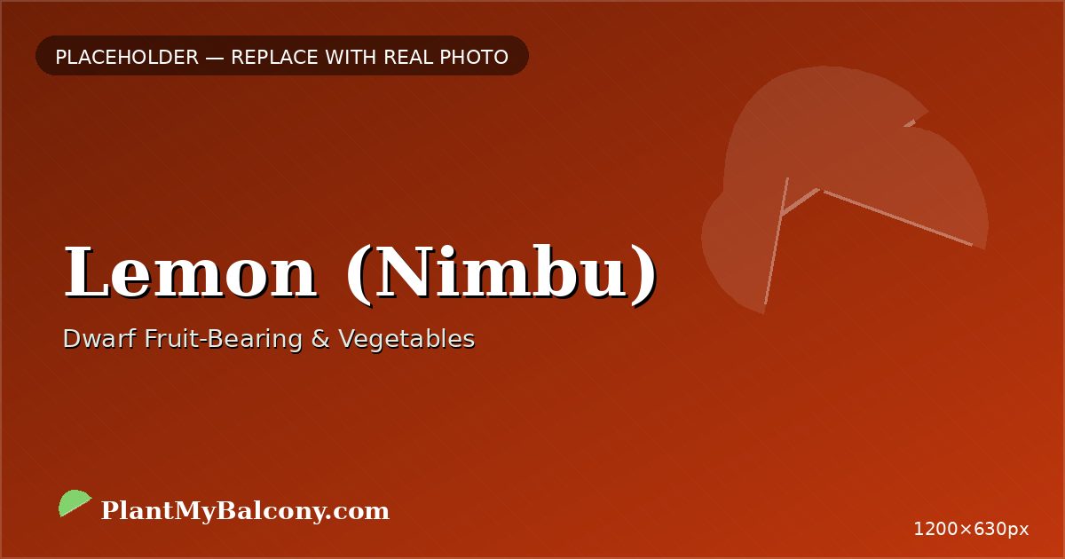 Lemon (Nimbu) plant