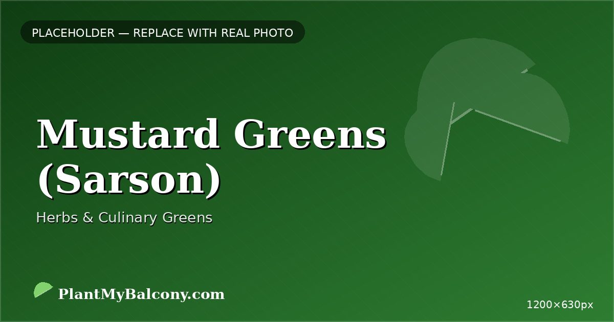 Mustard Greens (Sarson) plant India