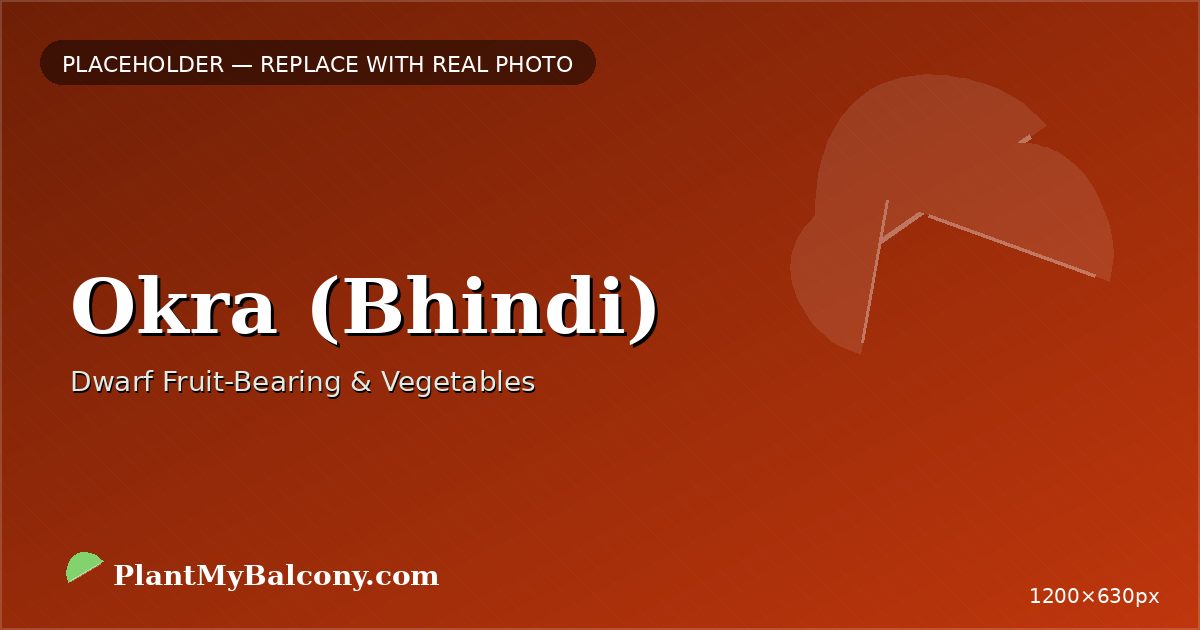 Okra (Bhindi) plant