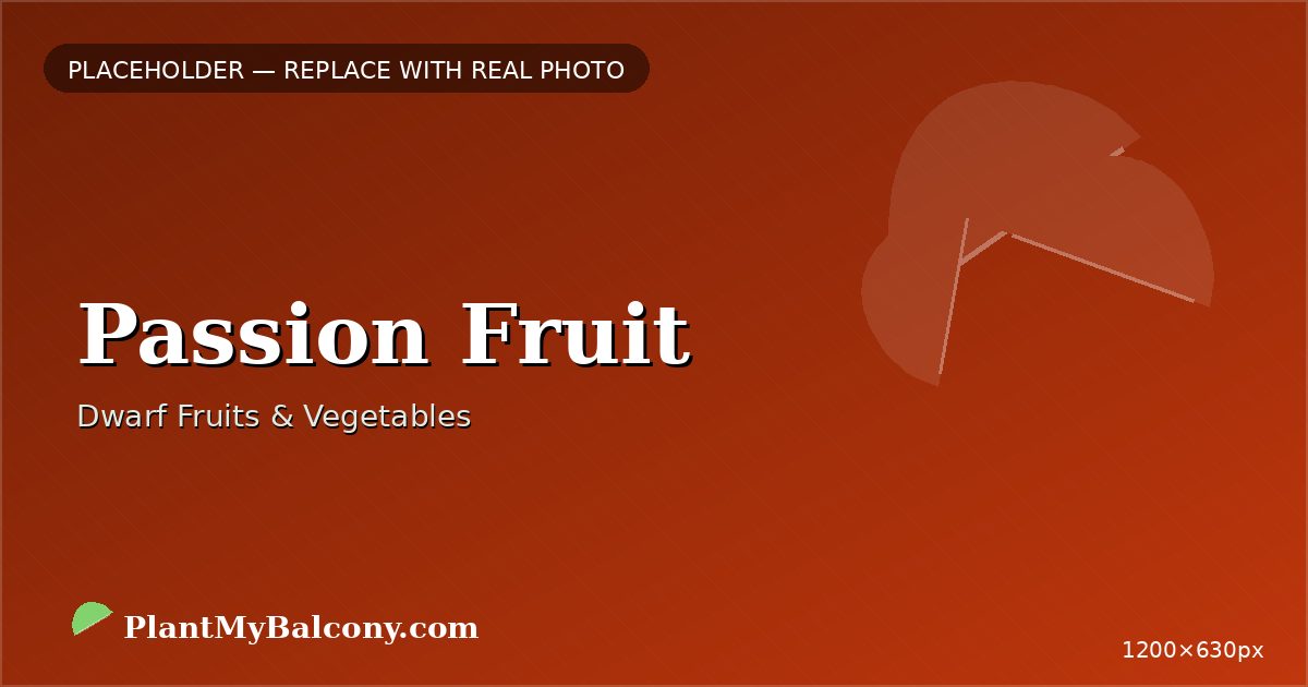 Passion Fruit plant India