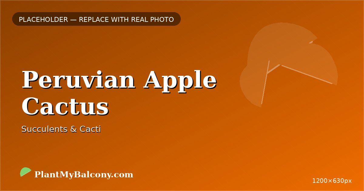 Peruvian Apple Cactus plant India