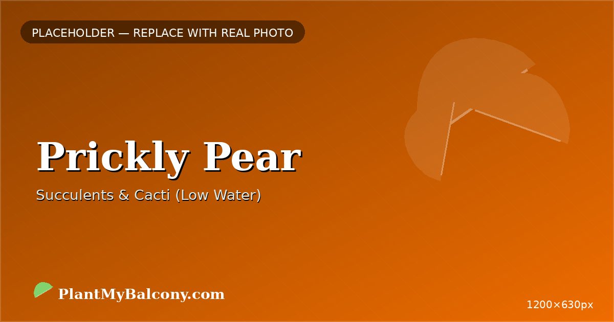 Prickly Pear plant India