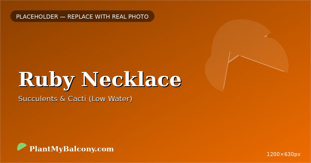 Ruby Necklace plant India