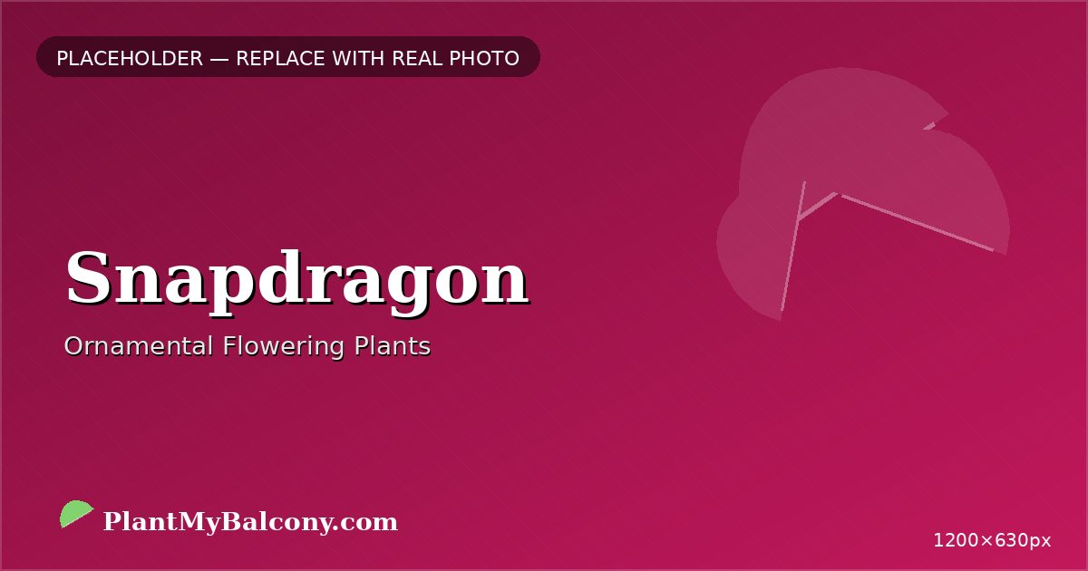 Snapdragon