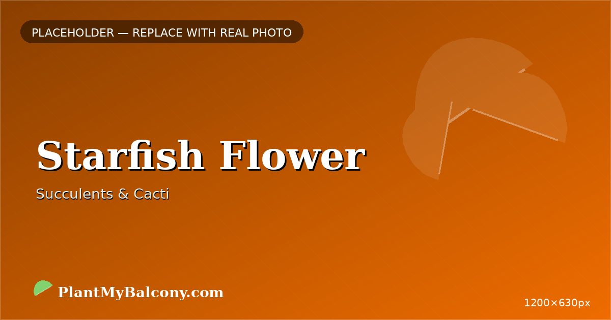 Starfish Flower
