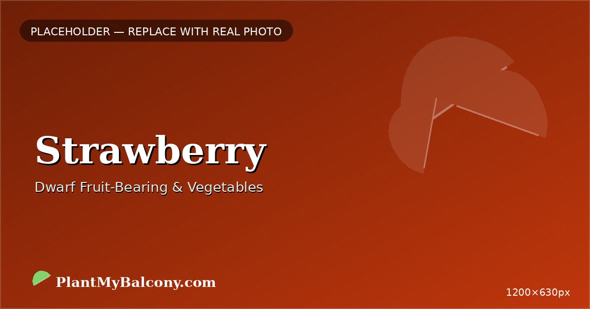 Strawberry plant