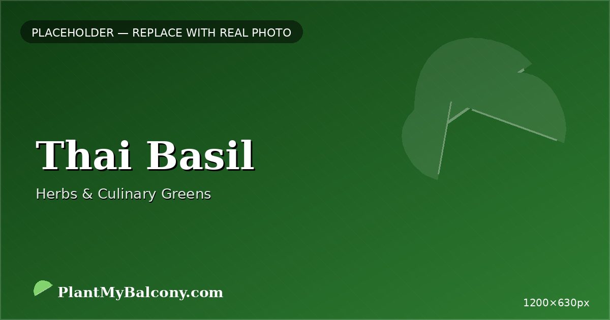 Thai Basil