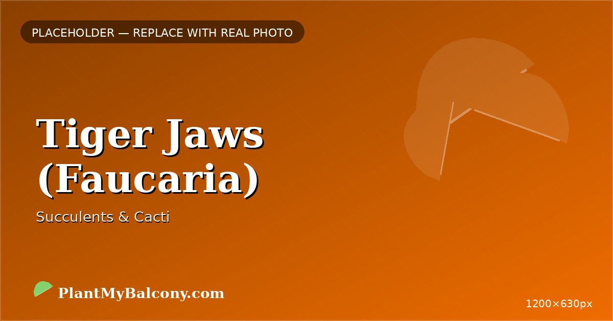 Tiger Jaws (Faucaria)