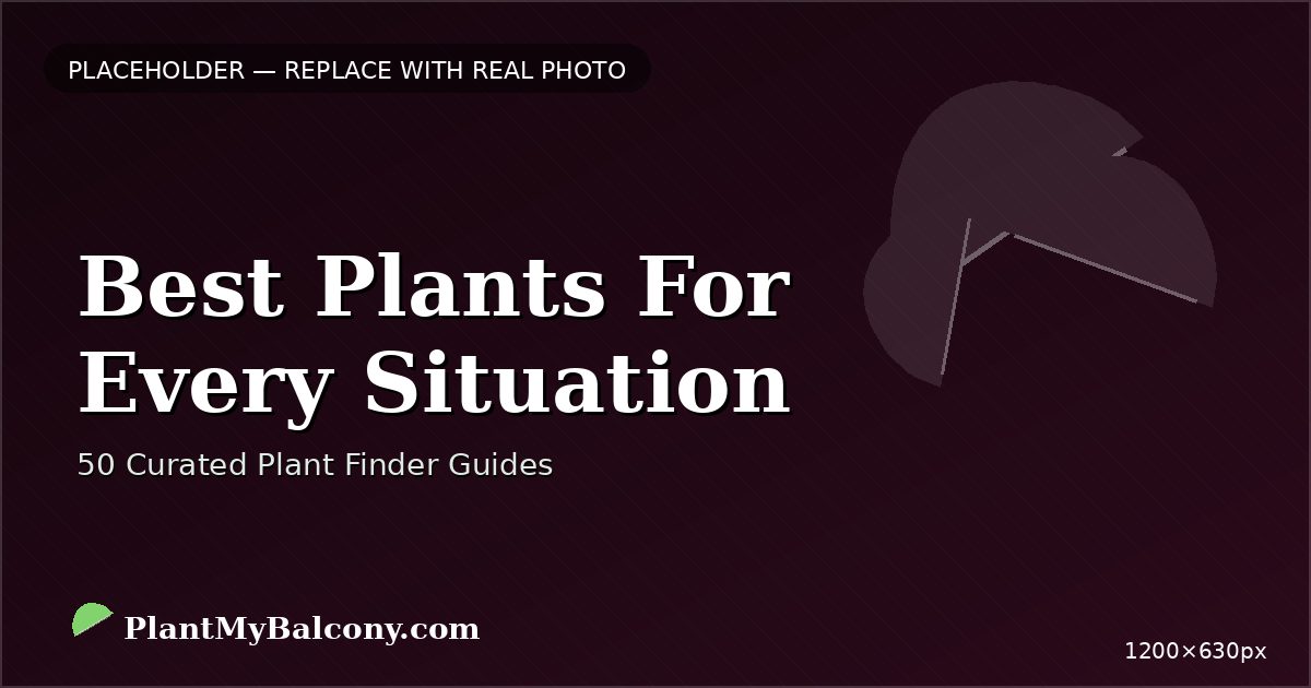 Best Plants For Every Situation