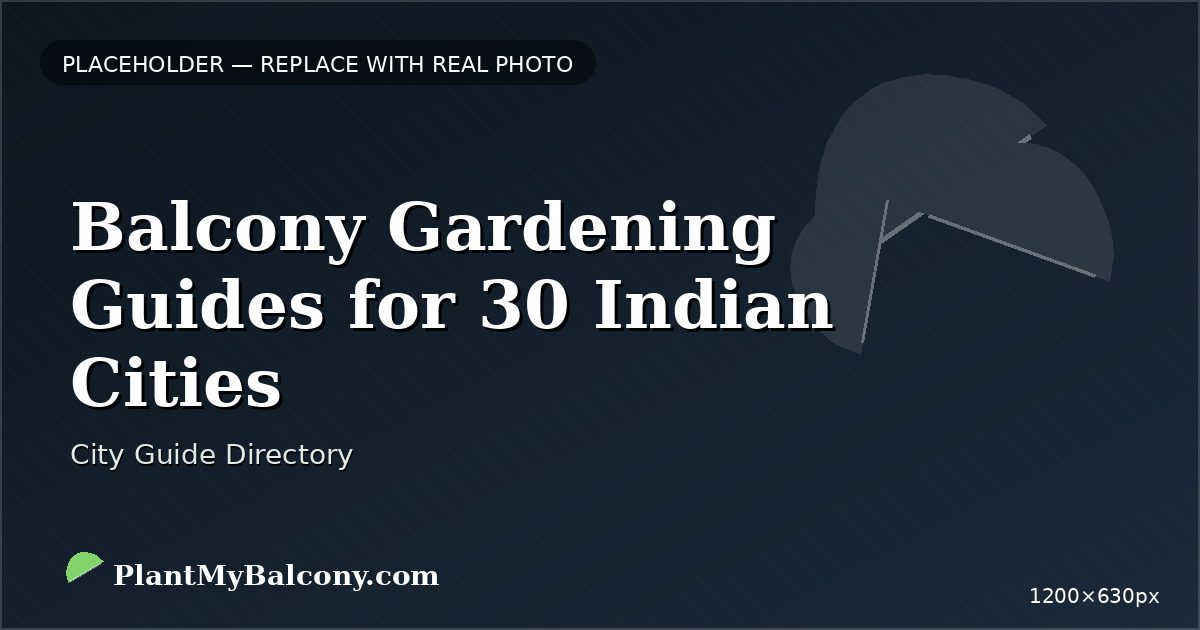 Balcony Gardening Guides for 30 Indian Cities