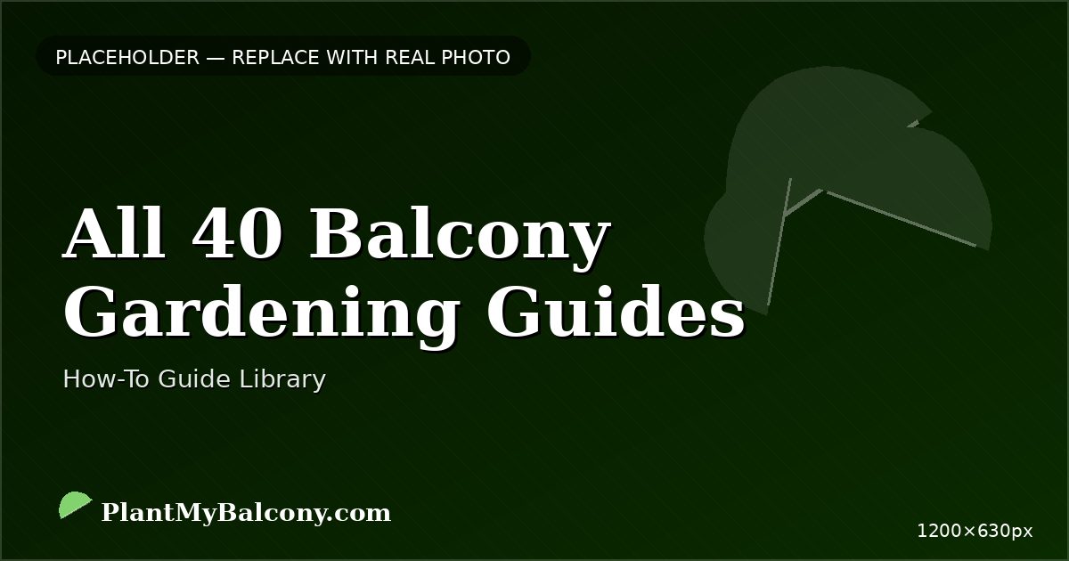 All 40 Balcony Gardening Guides