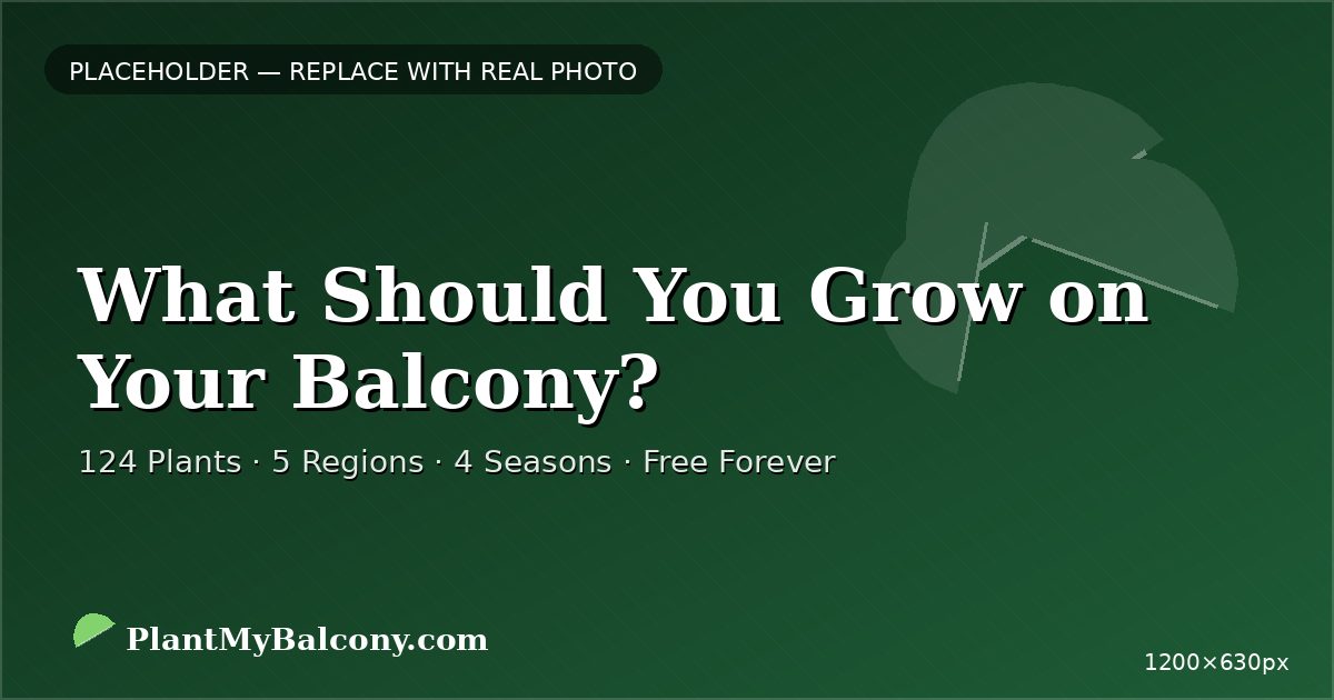 What Should You Grow on Your Balcony?