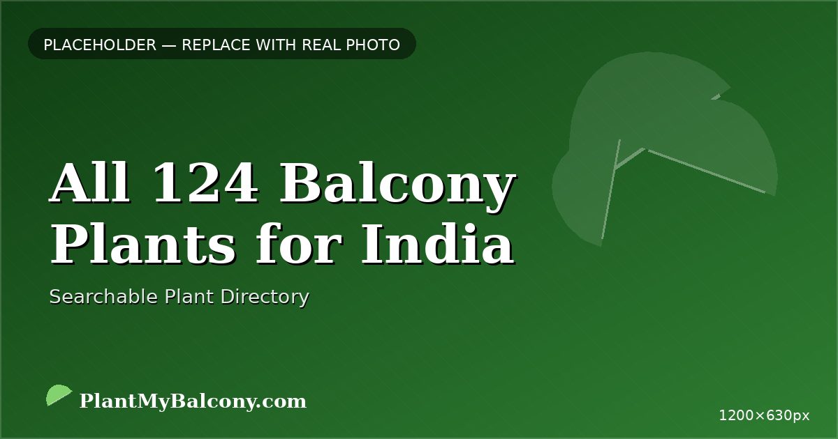 All 244 Balcony Plants for India