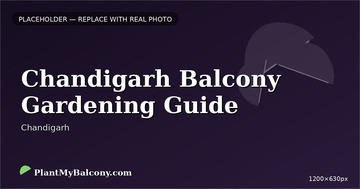 Chandigarh Balcony Gardening Guide — Best Plants and Climate Tips