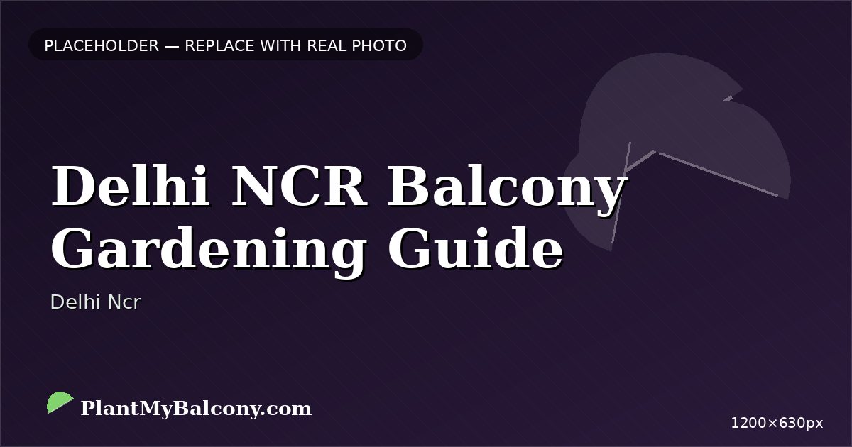 Delhi NCR Balcony Gardening Guide — Best Plants and Climate Tips