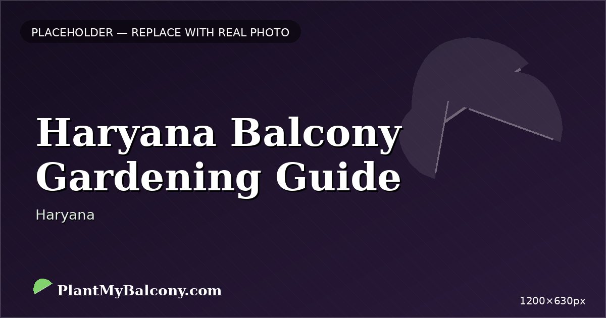 Haryana Balcony Gardening Guide — Best Plants and Climate Tips