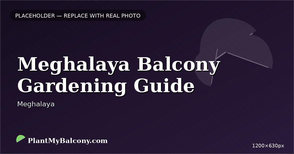 Meghalaya Balcony Gardening Guide β Best Plants and Climate Tips