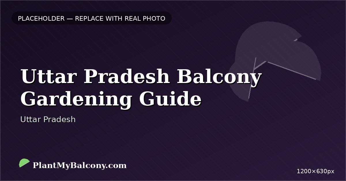 Uttar Pradesh Balcony Gardening Guide β Best Plants and Climate Tips